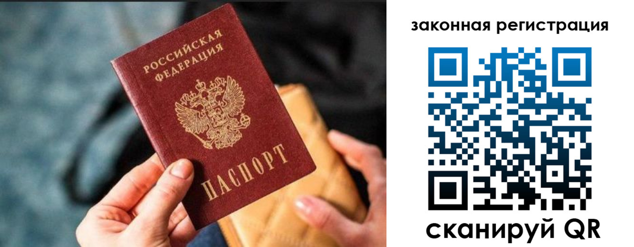 временная регистрация гарантия в Александрове